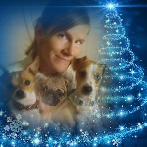 Meet your Posher, Donell